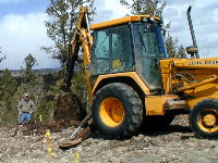 SLIM STARTS REAL DIG