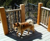 ZUCCA BEAR-WEST STAIRS