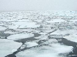 sEA iCE