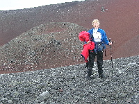 Penguin Island Cones