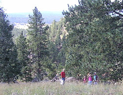 Shaar, Camo, Alee, Michal